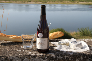 Traitement punaises de lit Sèvremoine